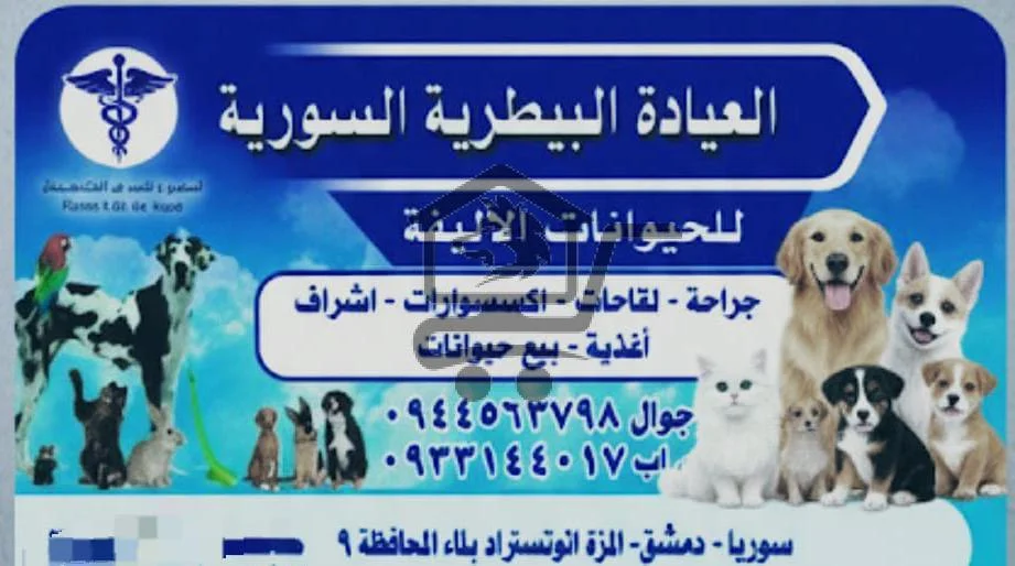 العيادة البيطرية السورية للحيوانات الأليفة 😺🐶 - الصورة 1