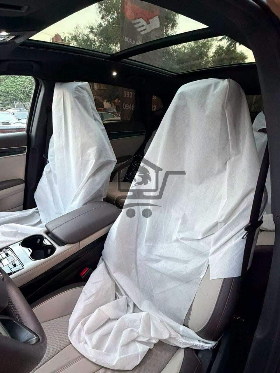 BYD Song Plus 2025 - الصورة 9