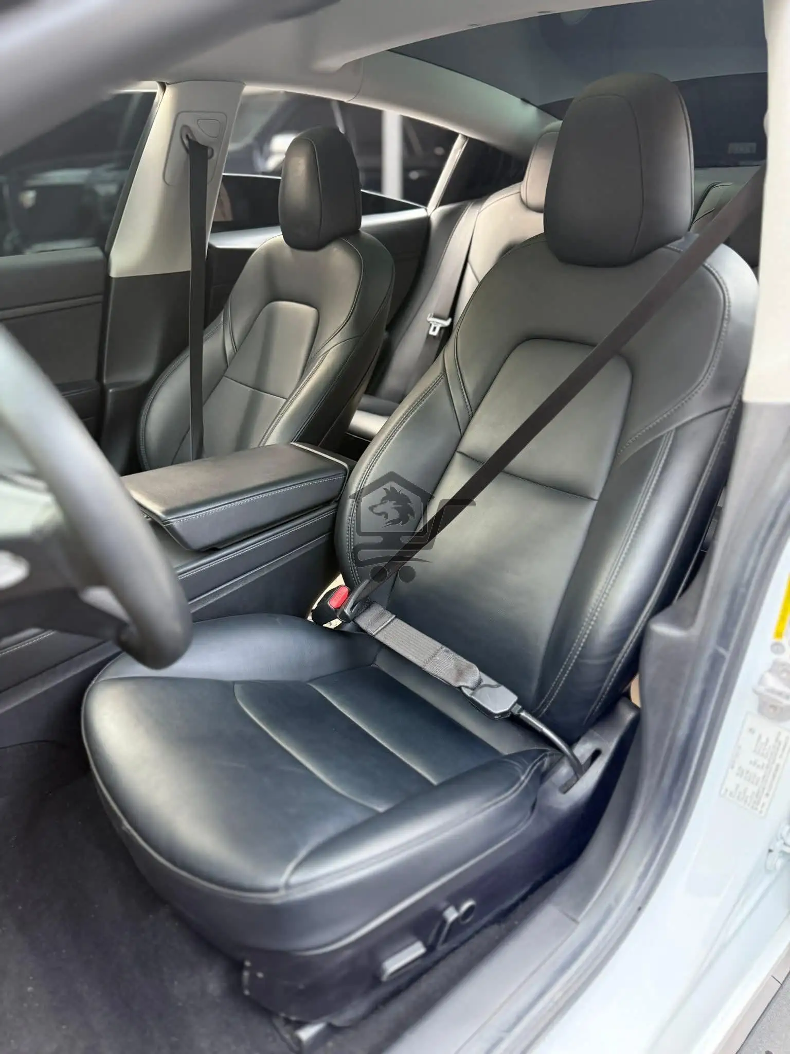 TESLA - الصورة 4