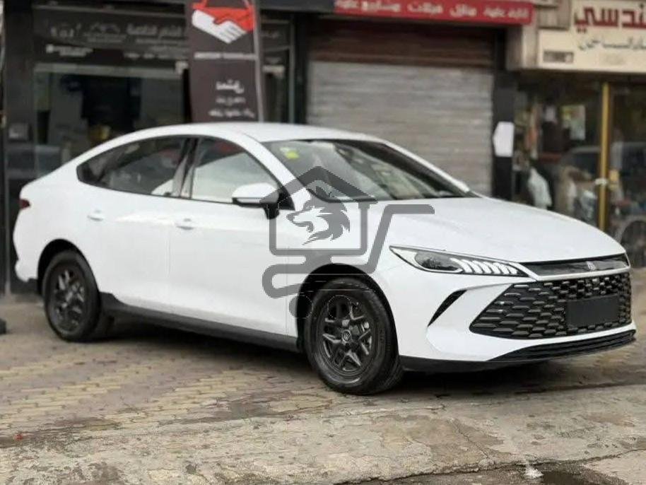 BYD Qin Plus 2025 - الصورة 3