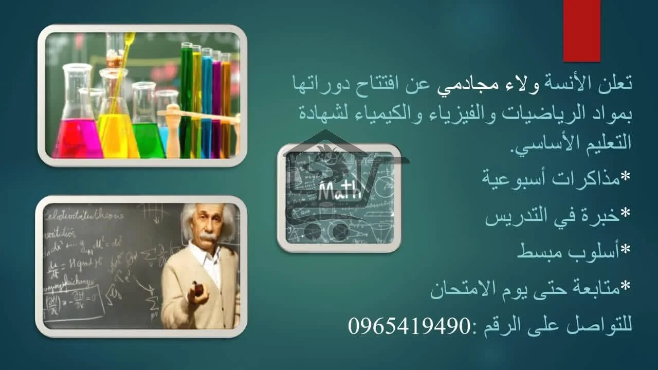 المدرسة ولاء مجادمي