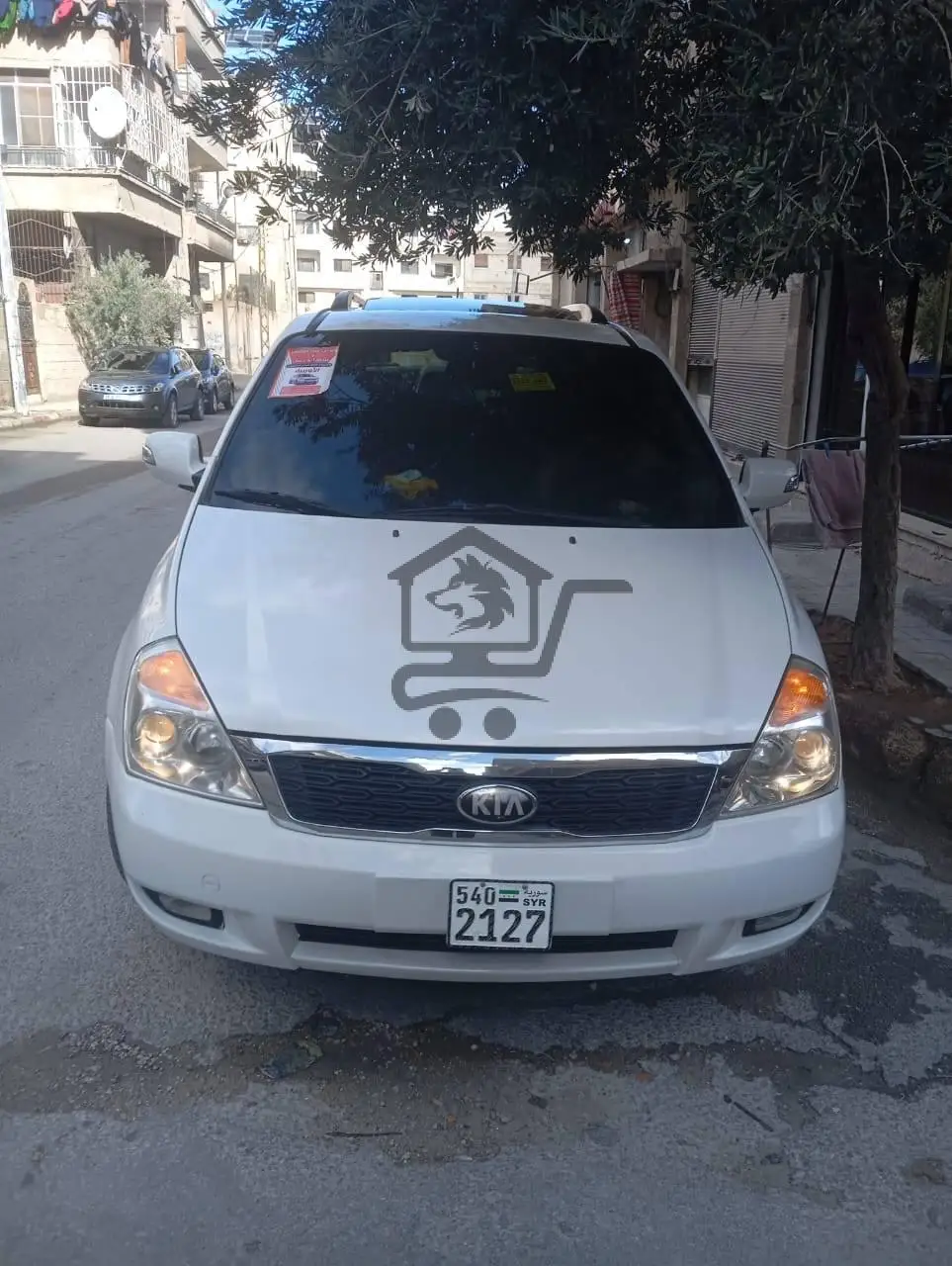 كرنفال دي ام2013 - الصورة 4