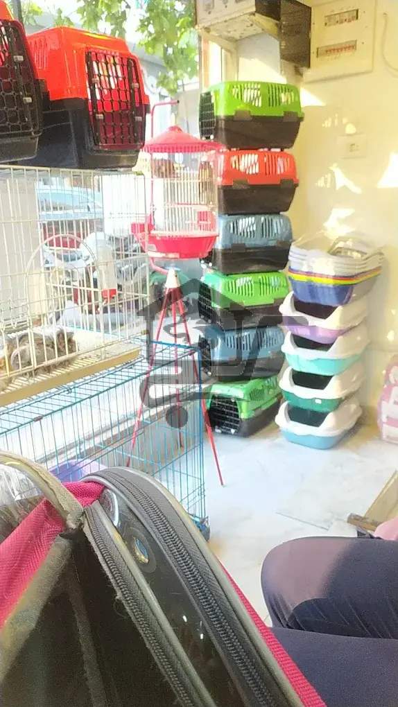 Mr Paws pets clinic - الصورة 1