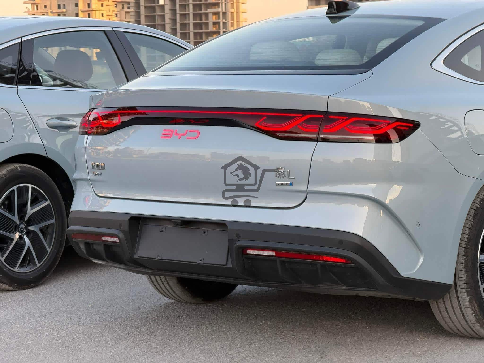 BYD - الصورة 3