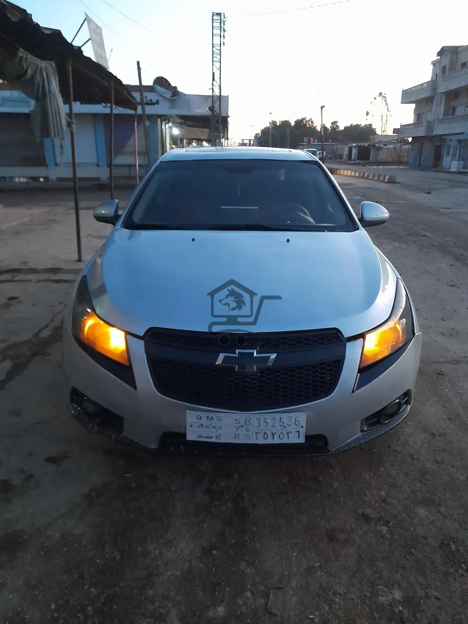 شفر كروز  2010 - الصورة 1