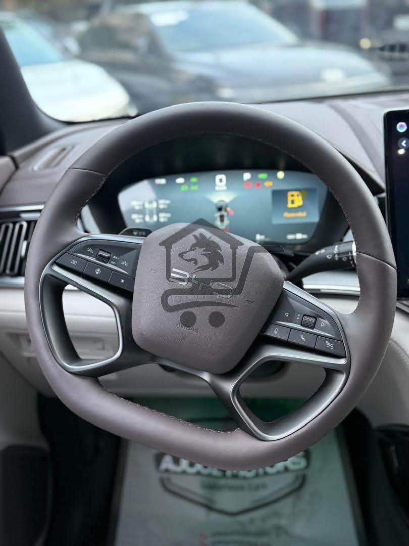 BYD Song Plus 2025 - الصورة 8