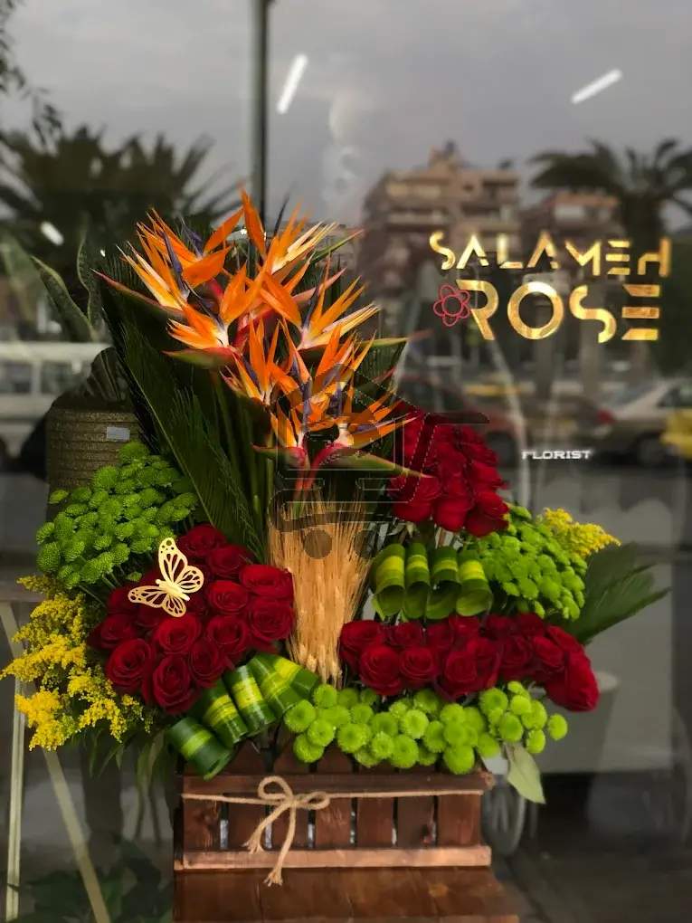 سلامة روز - الصورة 8