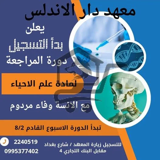 معهد دار الأندلس التعليمي - الصورة 8