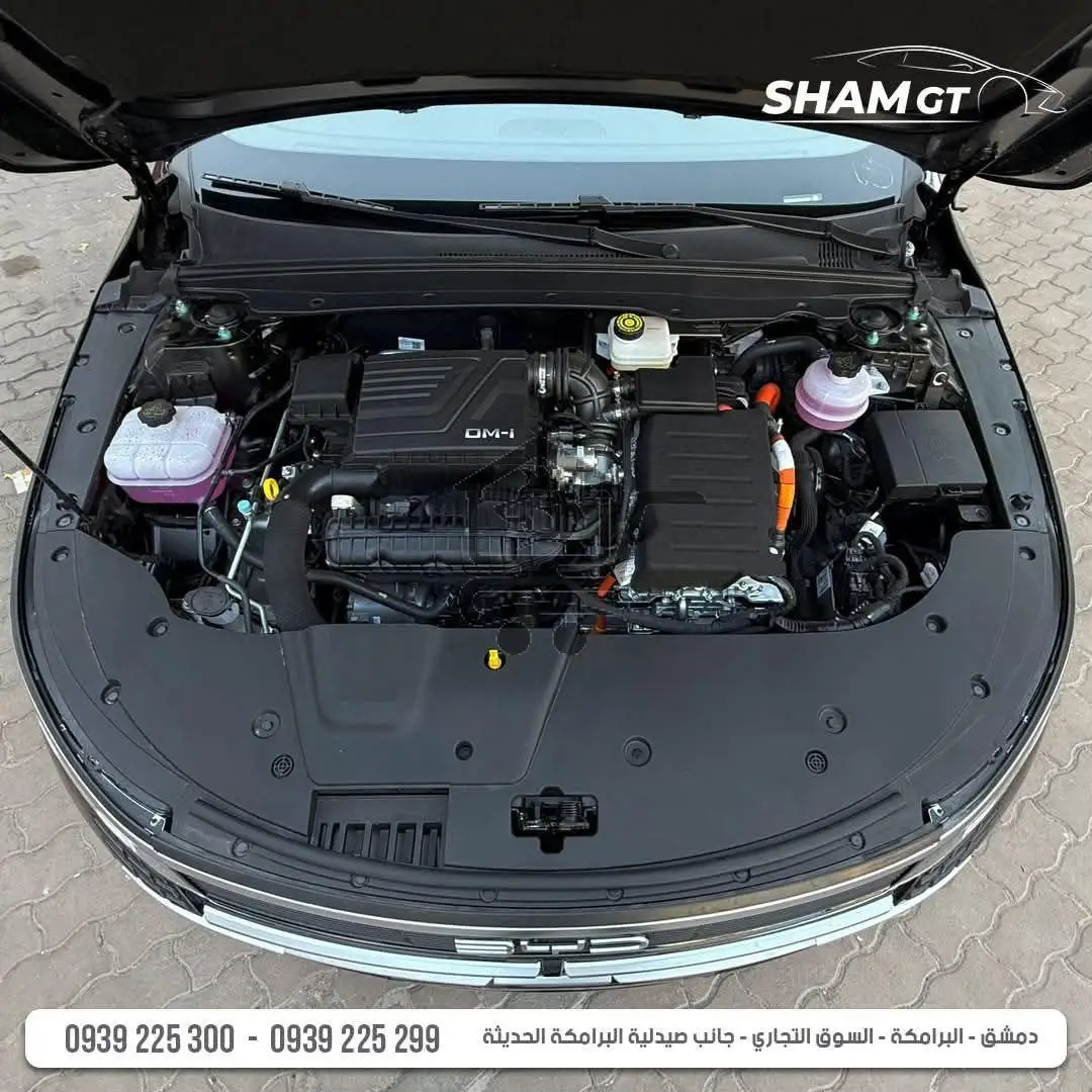 BYD Destroyer 2025 - الصورة 10