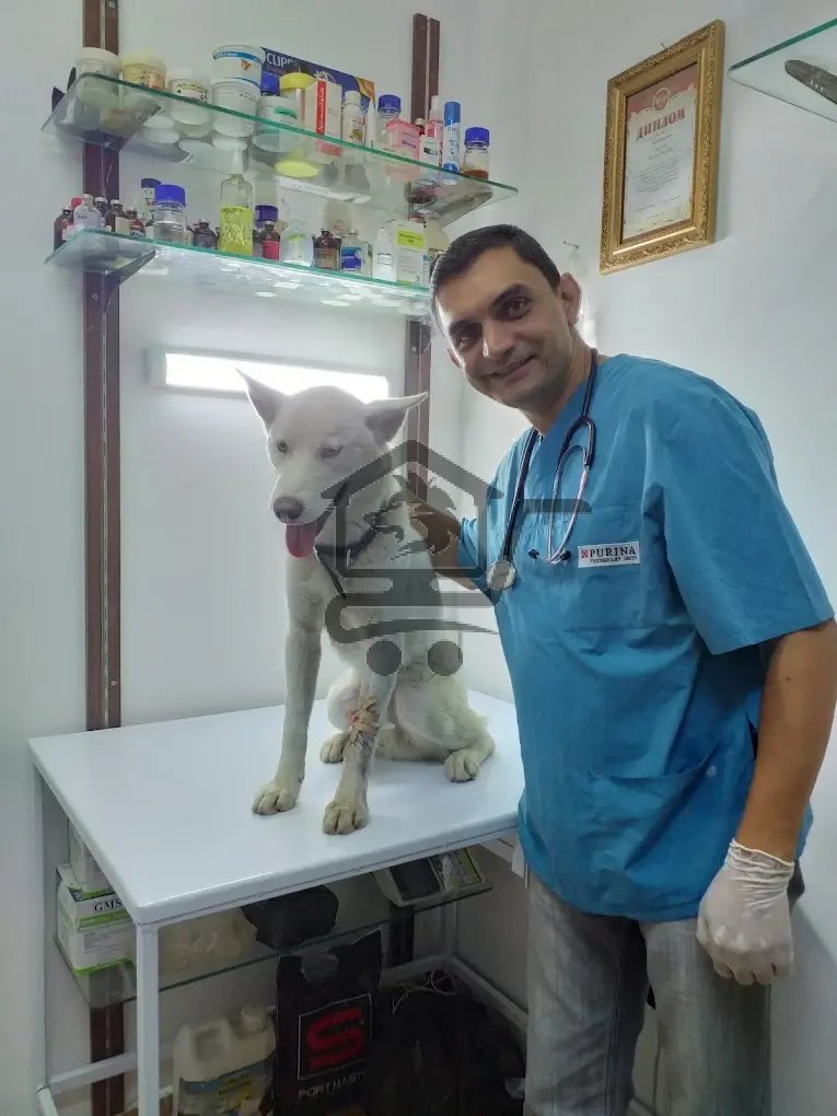 Syrian-Russian Veterinary center - الصورة 2