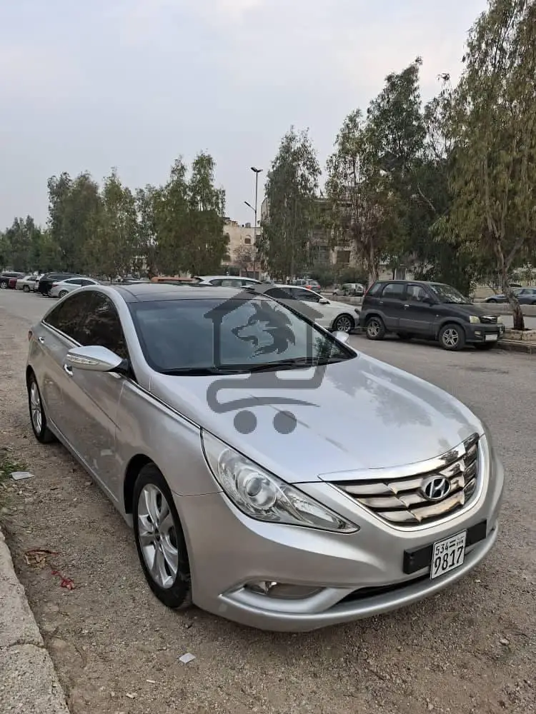 سوناتا  2010 - الصورة 1