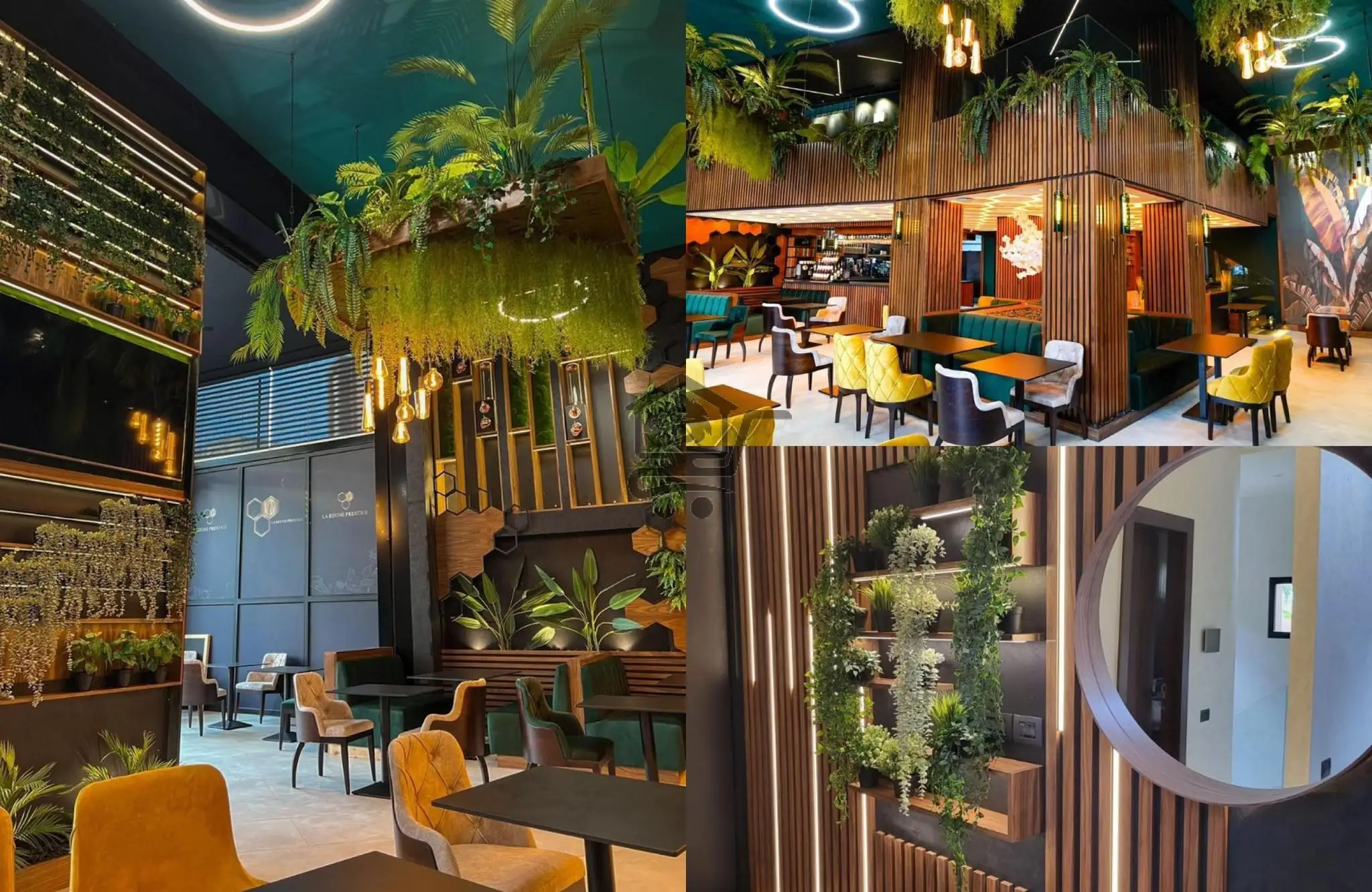 ديكور داركم عند النسيم