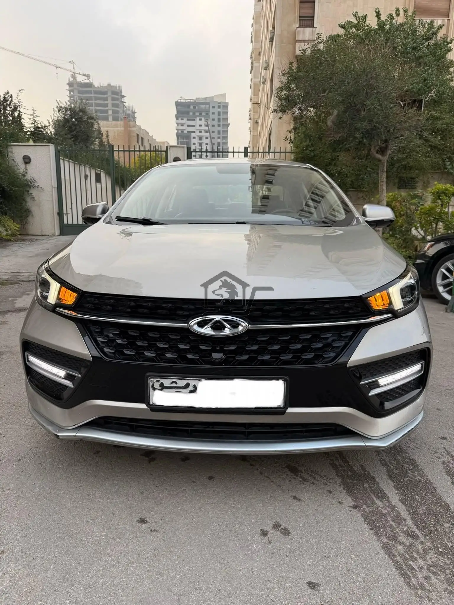 شيري اريزو 6 - الصورة 1