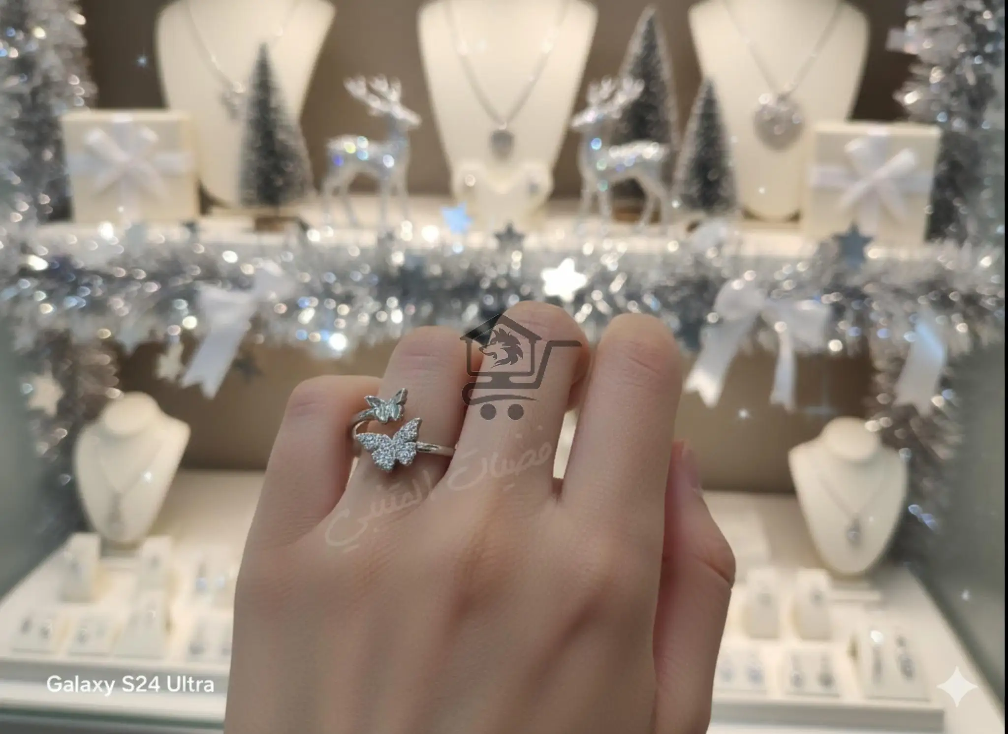 فضيات المتنبي - الصورة 2