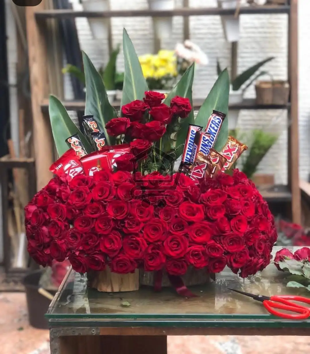 ازهار الزيات - الصورة 4