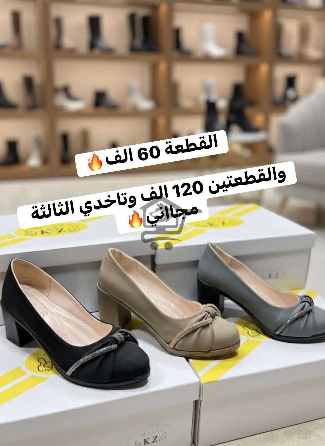 كندرة من الخضر - الصورة 2