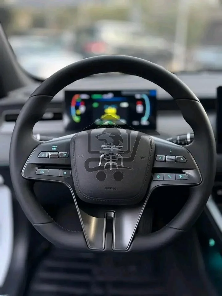 BYD - الصورة 4