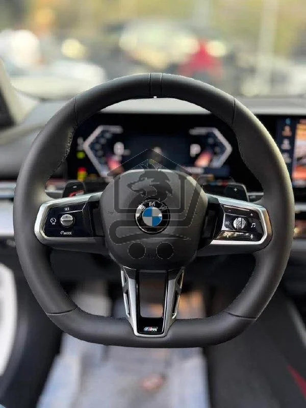 BMW 530Li - الصورة 7