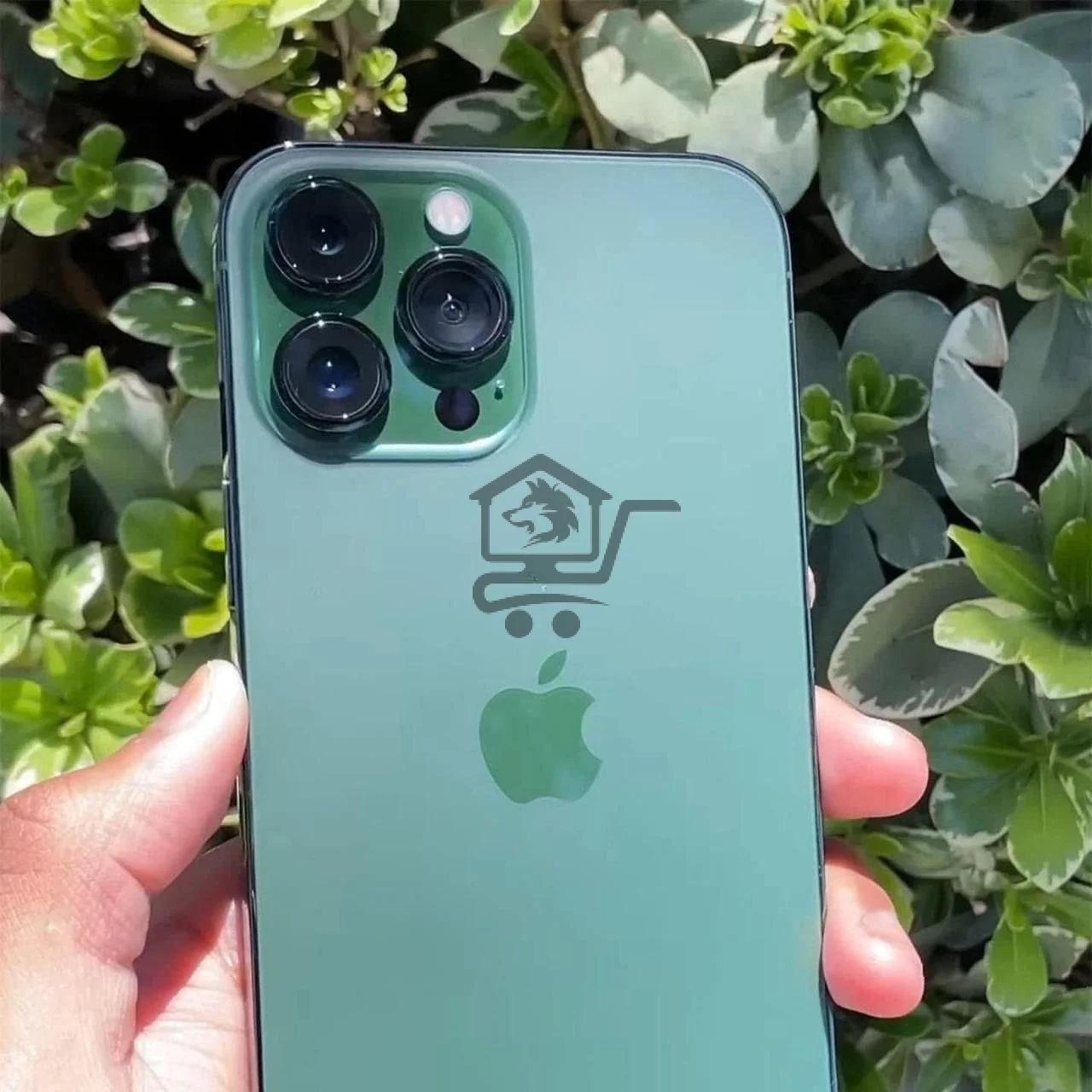 iPhone 13 Pro Max - الصورة 2