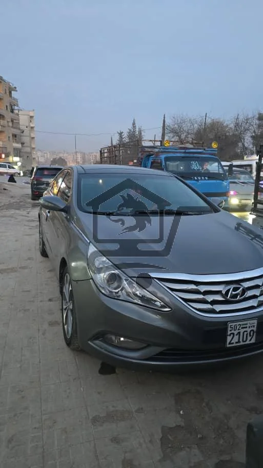 هونداي وارد كندي