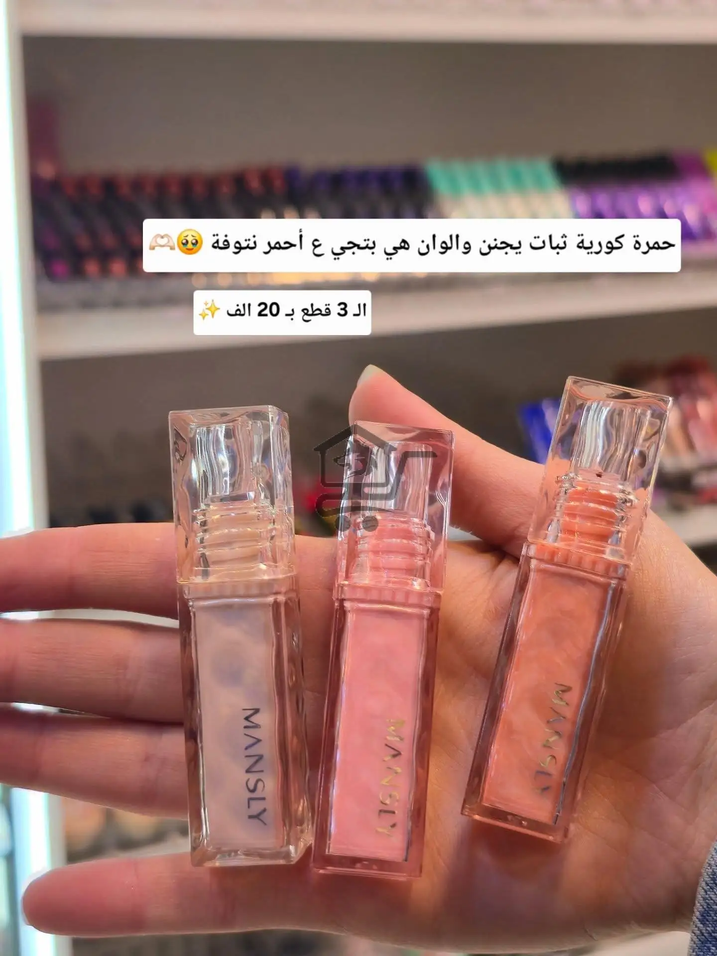 نوفوتيه أبودان - الصورة 4