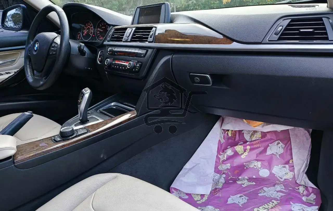 BMW 320i 2015 - الصورة 9