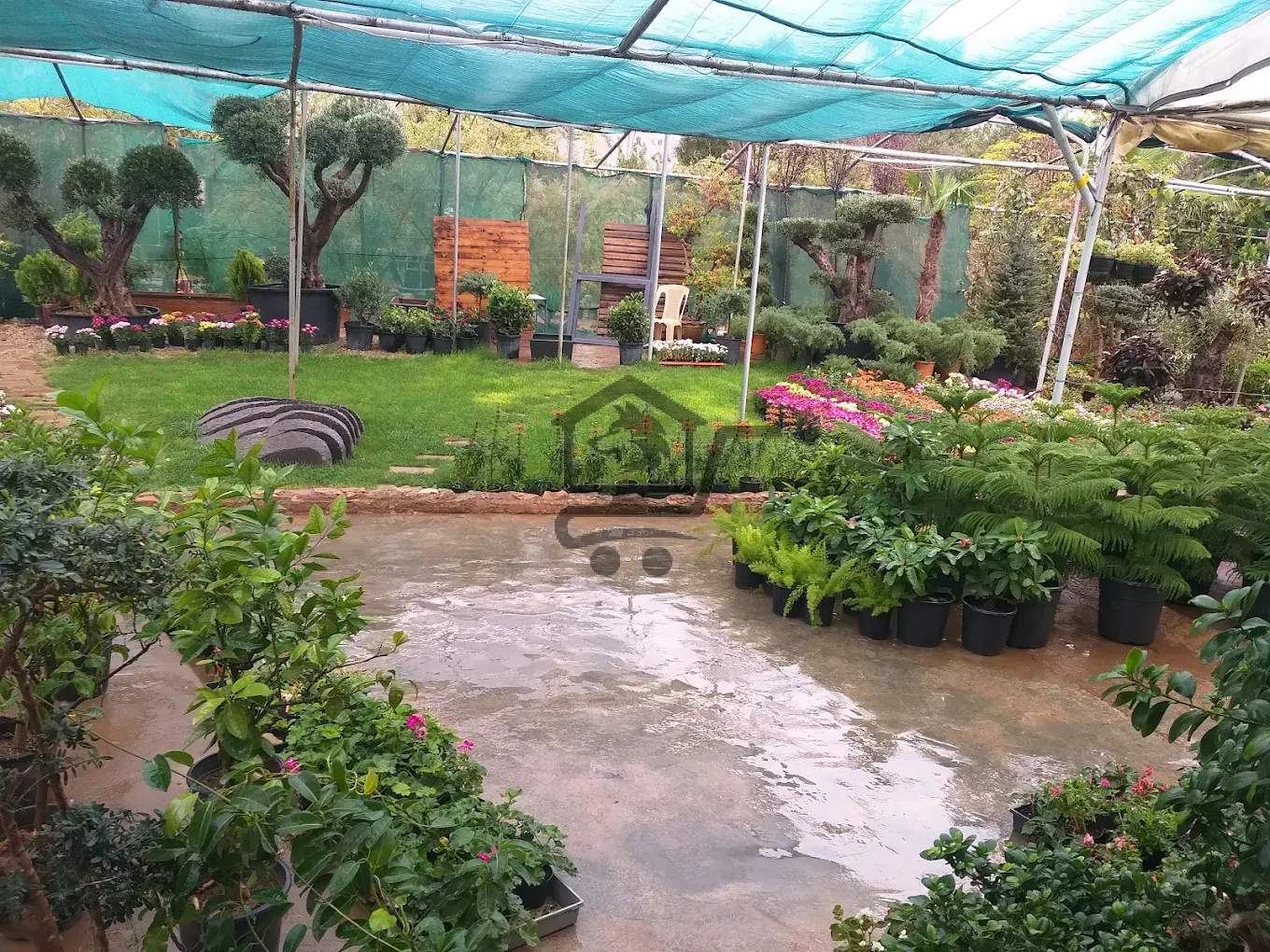 المركز التقني الزراعي - الصورة 1