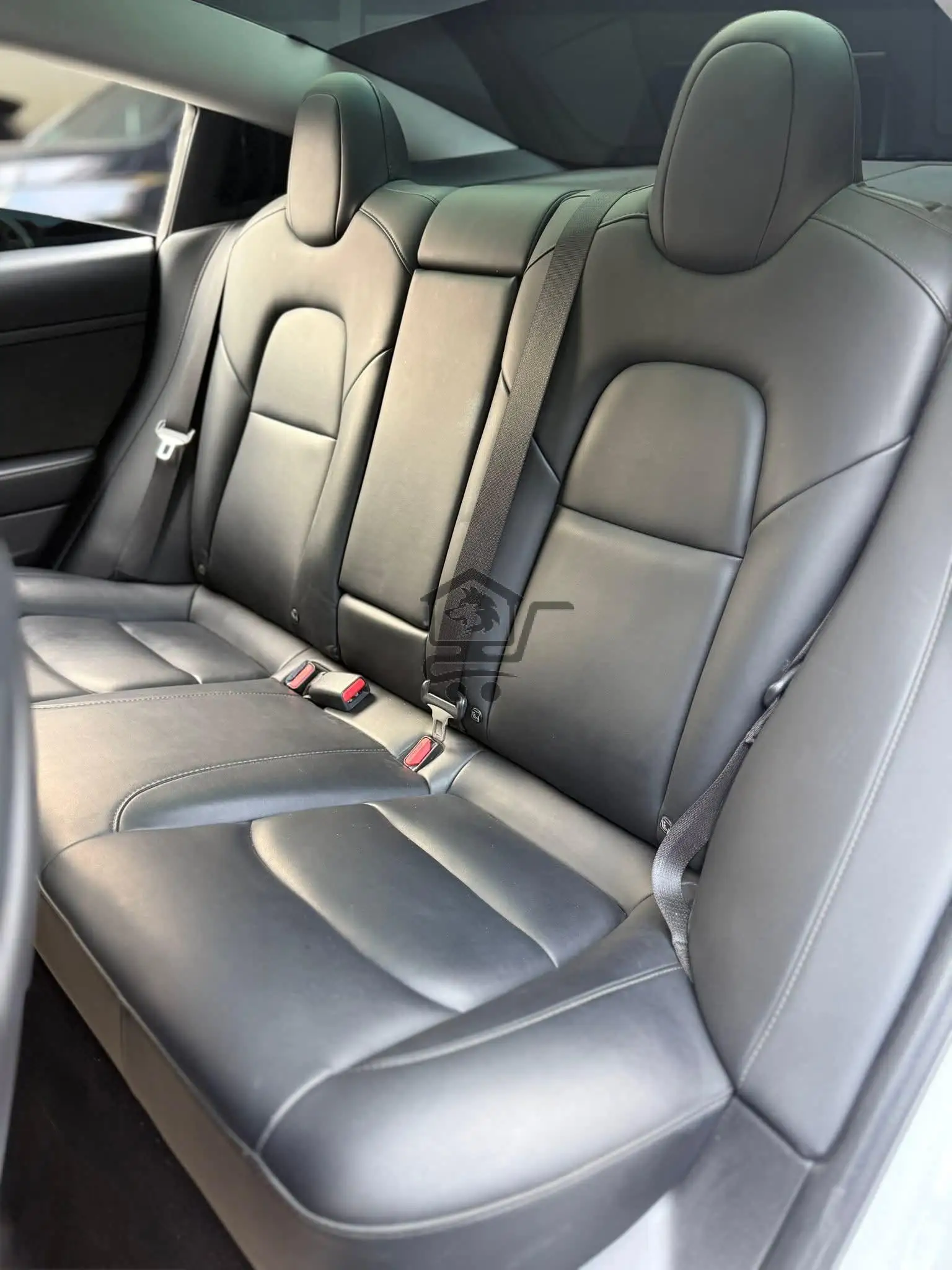 TESLA - الصورة 3