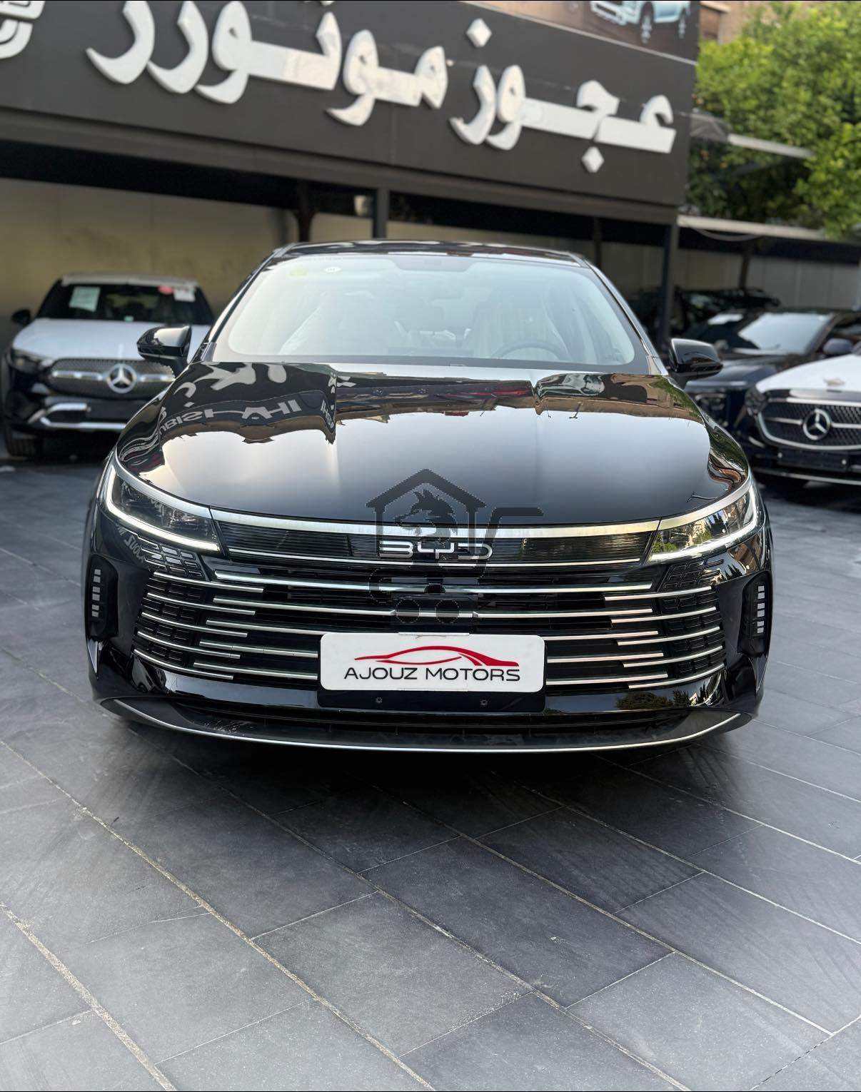 BYD Destroye 2025 - الصورة 5