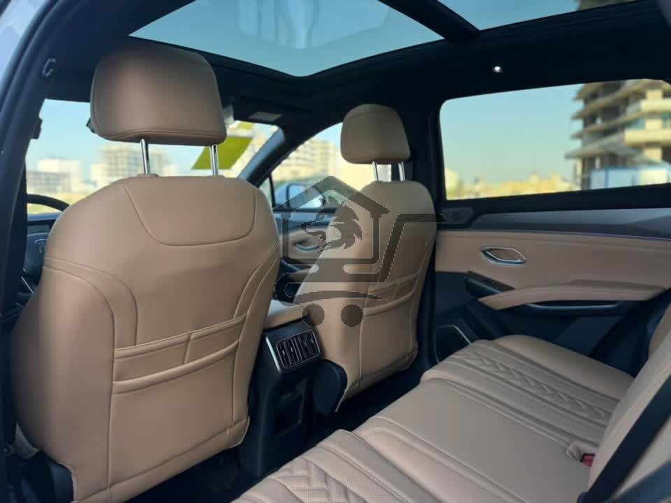 BYD - الصورة 8