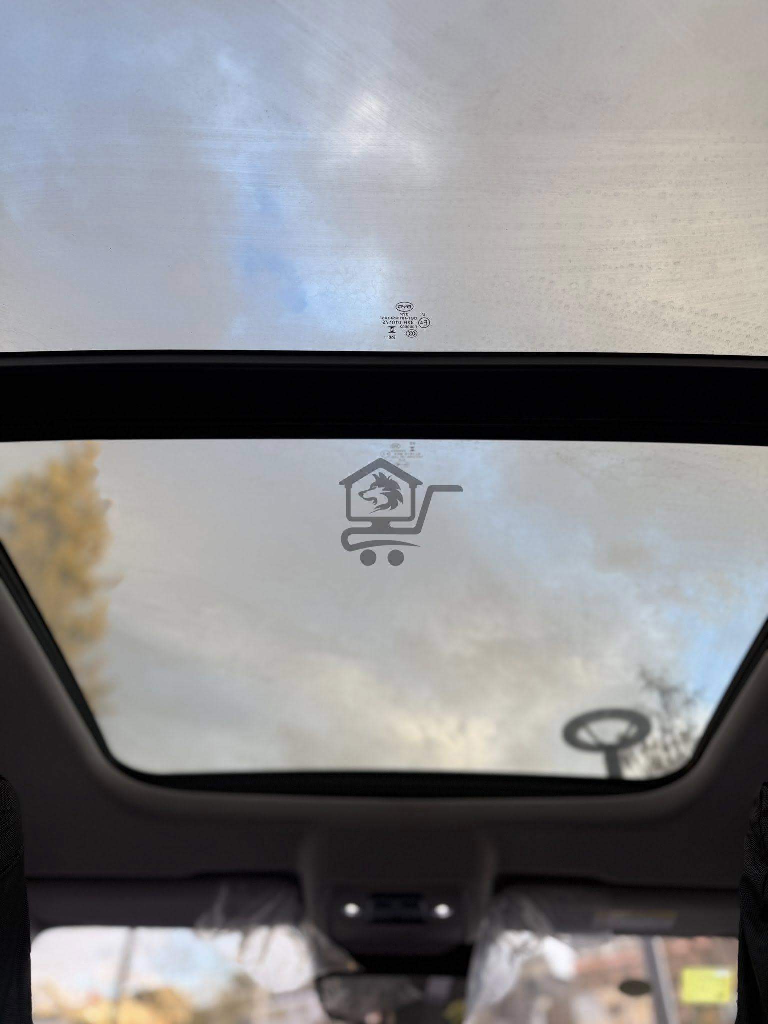 BYD - الصورة 2