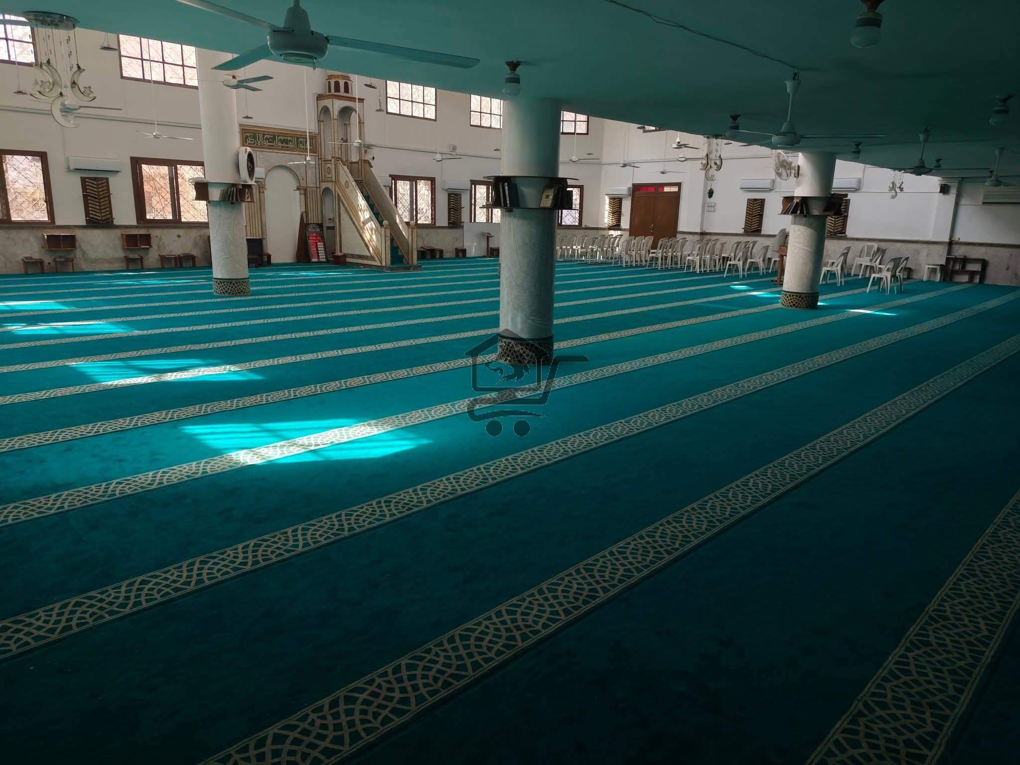 سجاد صيدا - الصورة 8