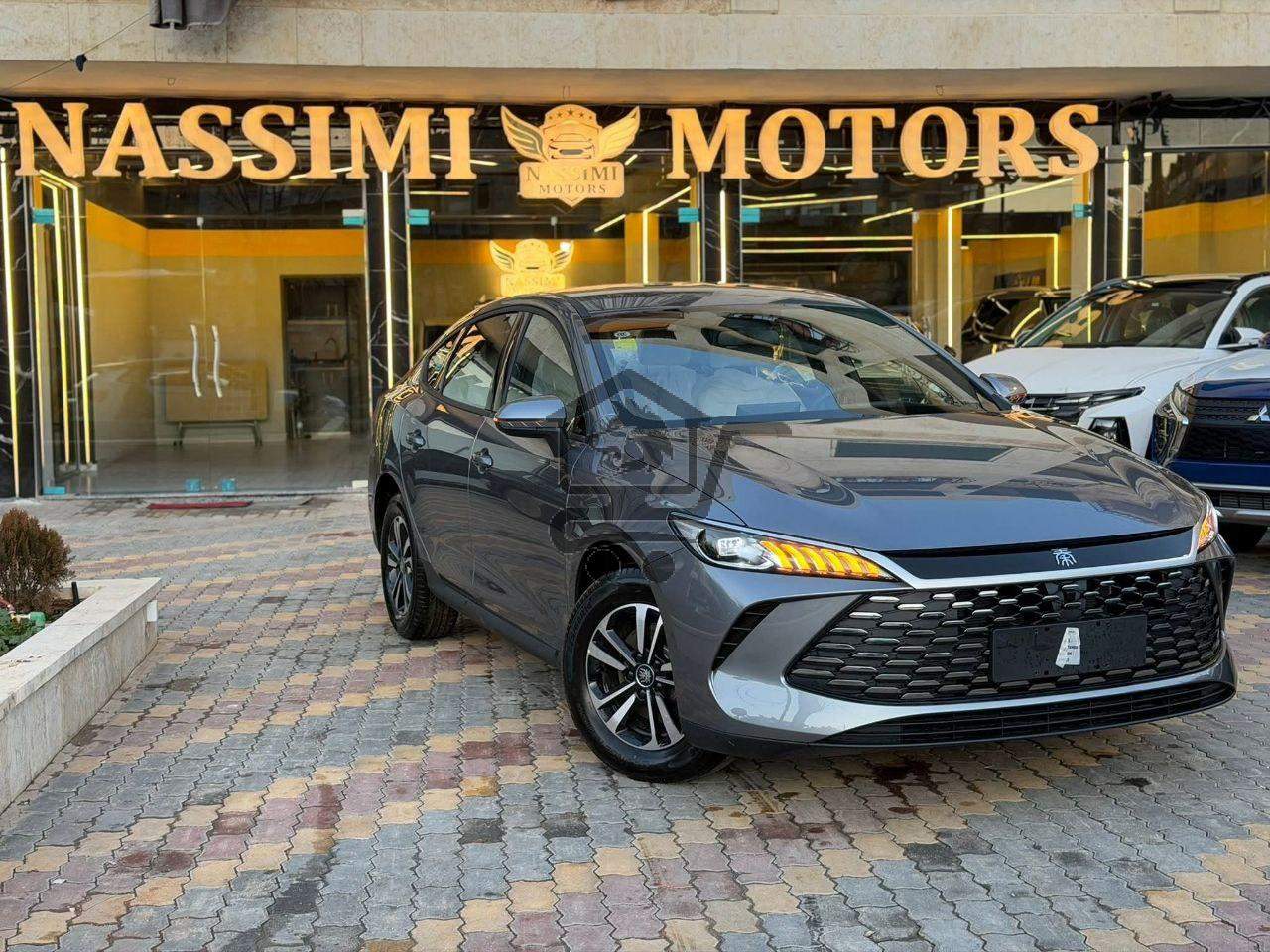 BYD Qin Plus 2025 - الصورة 5