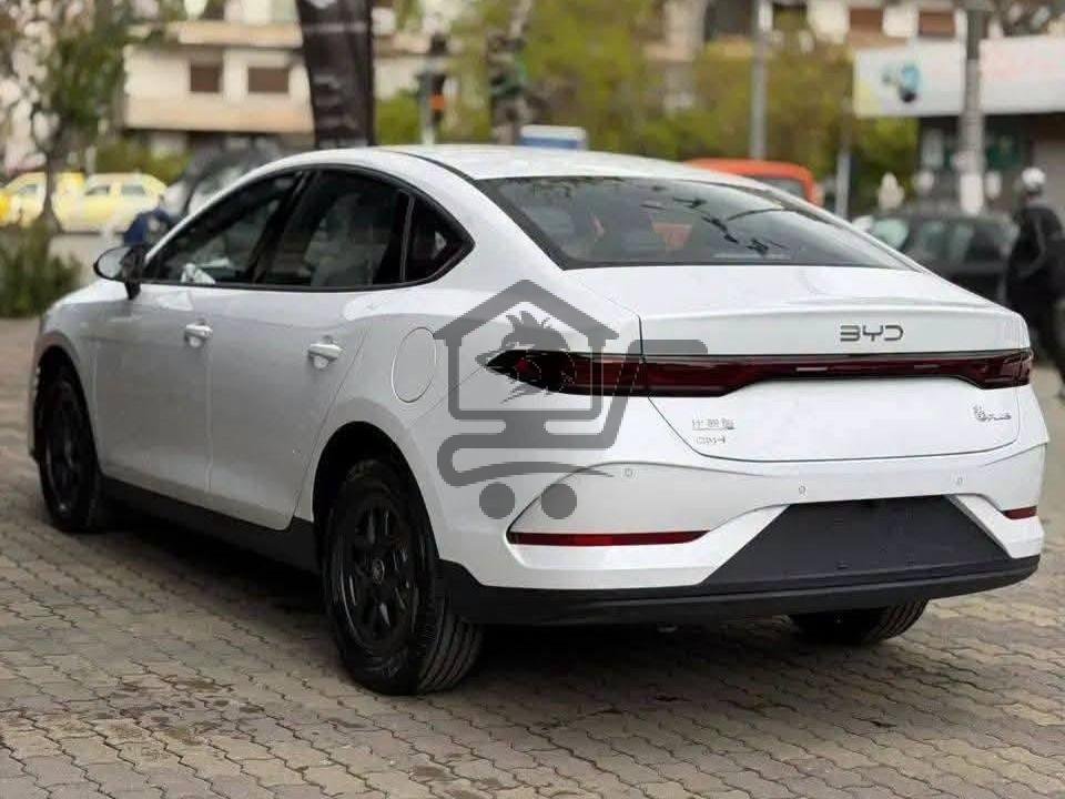 BYD QIN PLUS 2025 - الصورة 4