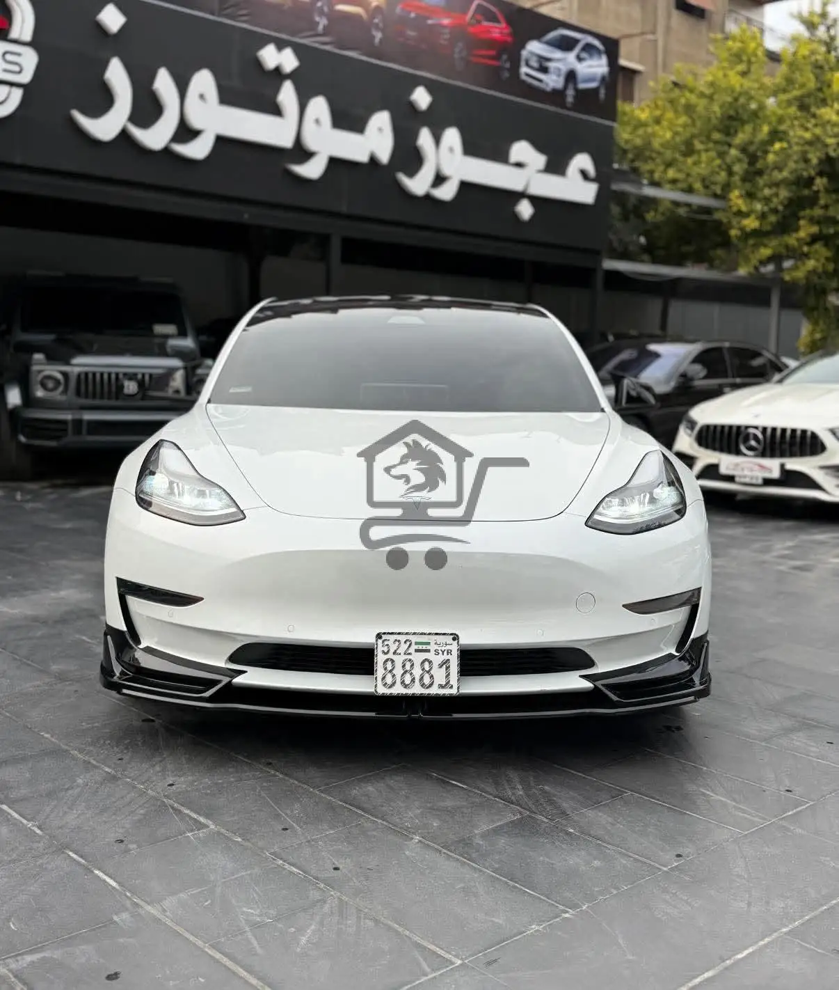 TESLA - الصورة 9