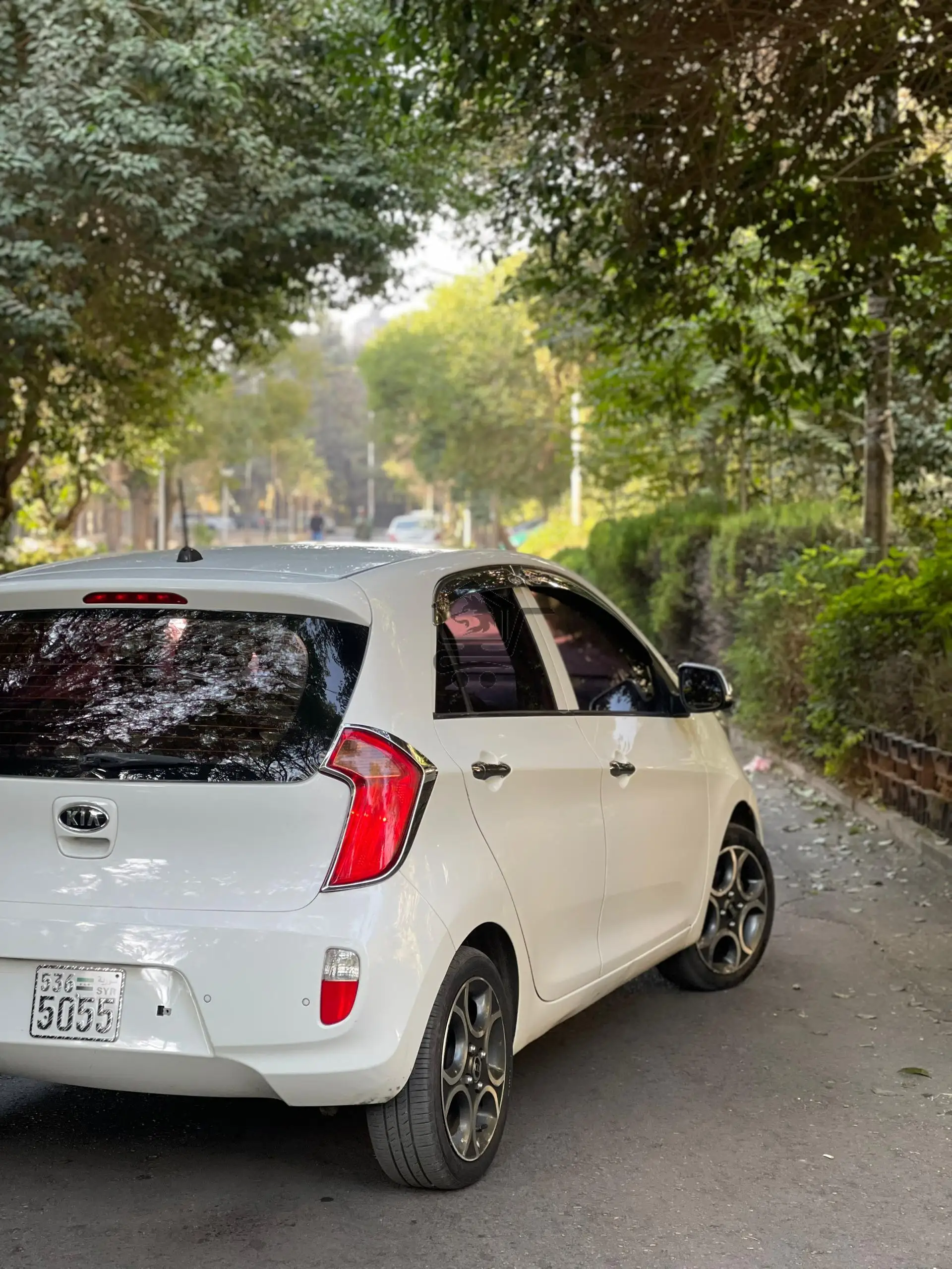 Kia_bikanu.   2015 - الصورة 1