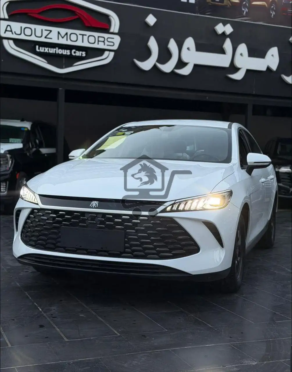 BYD Qin Plus - الصورة 2