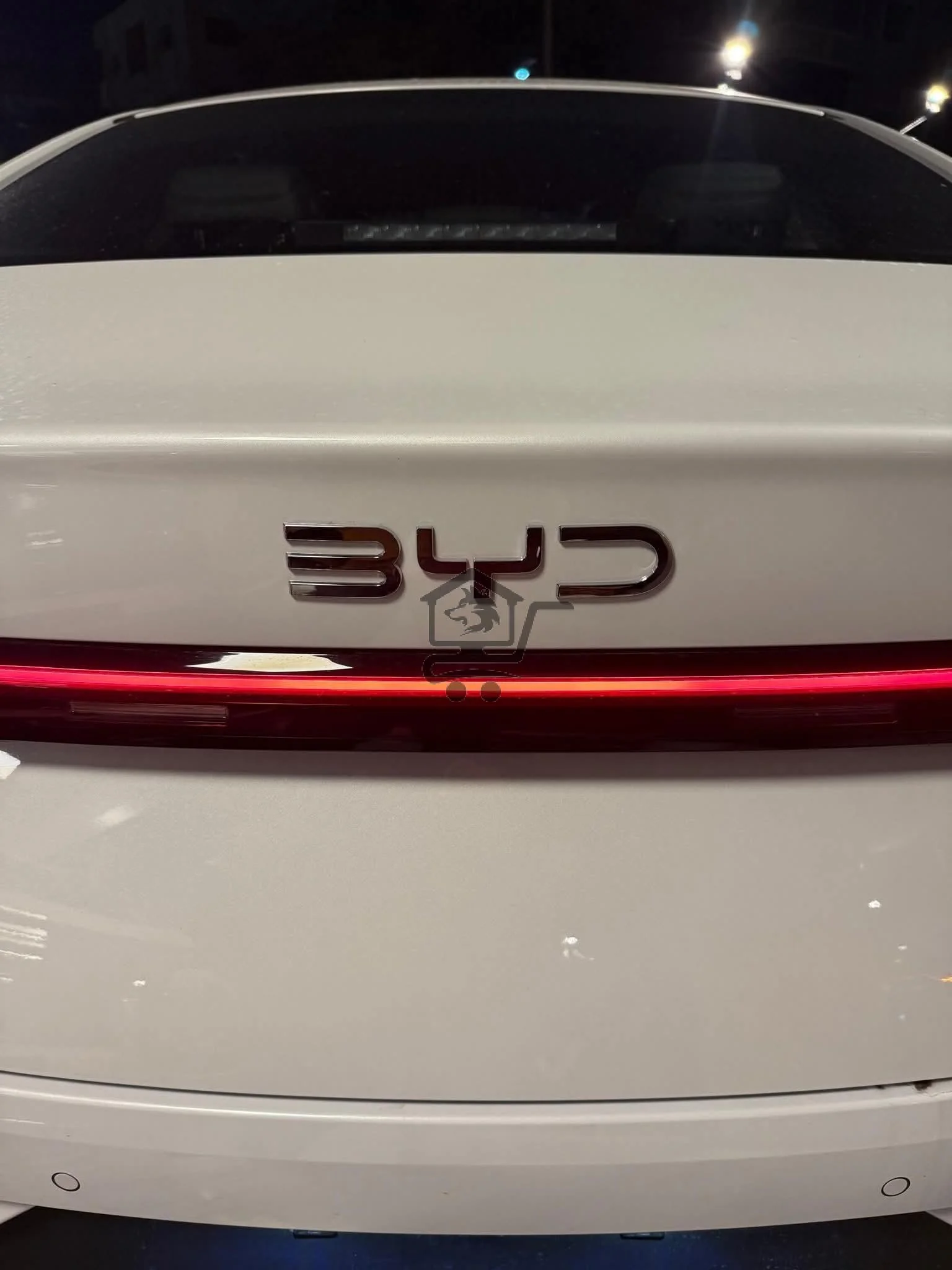 BYD ترند 2025 - الصورة 6