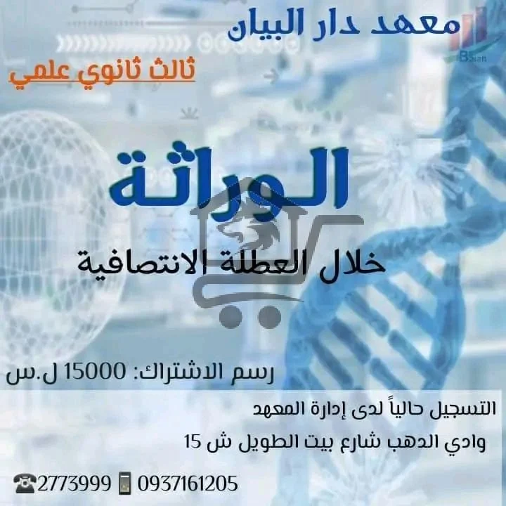 معهد دار البيان - الصورة 3