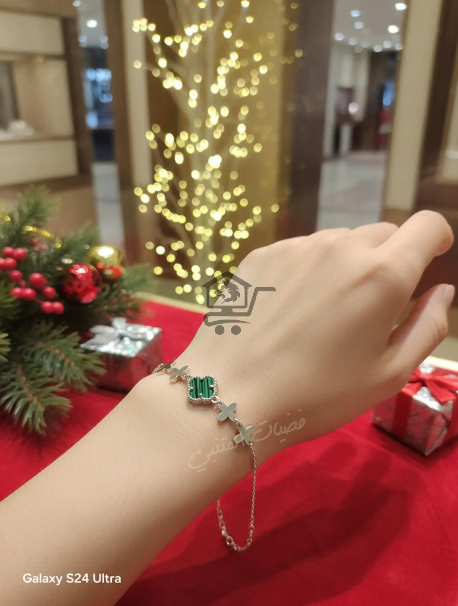 فضيات المتنبي - الصورة 4