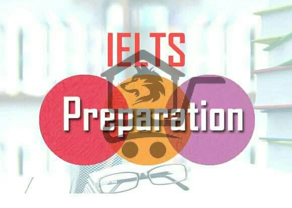 معهد أوغاريت Ugarit Institute - الصورة 5