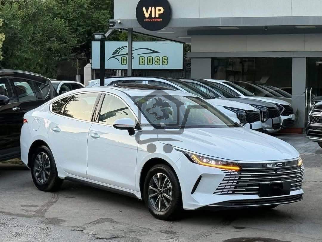 BYD - الصورة 1