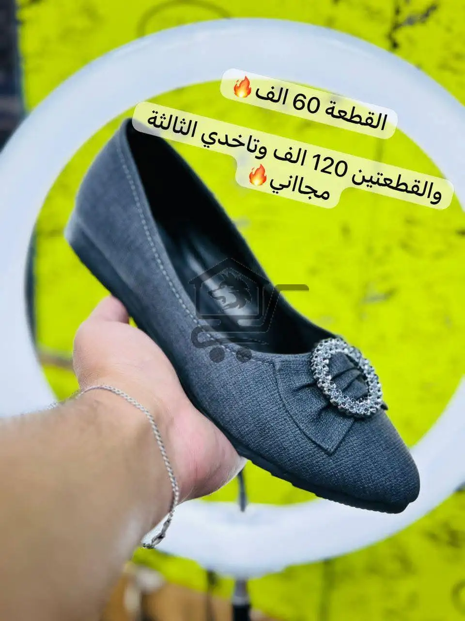 كندرة زحف - الصورة 2