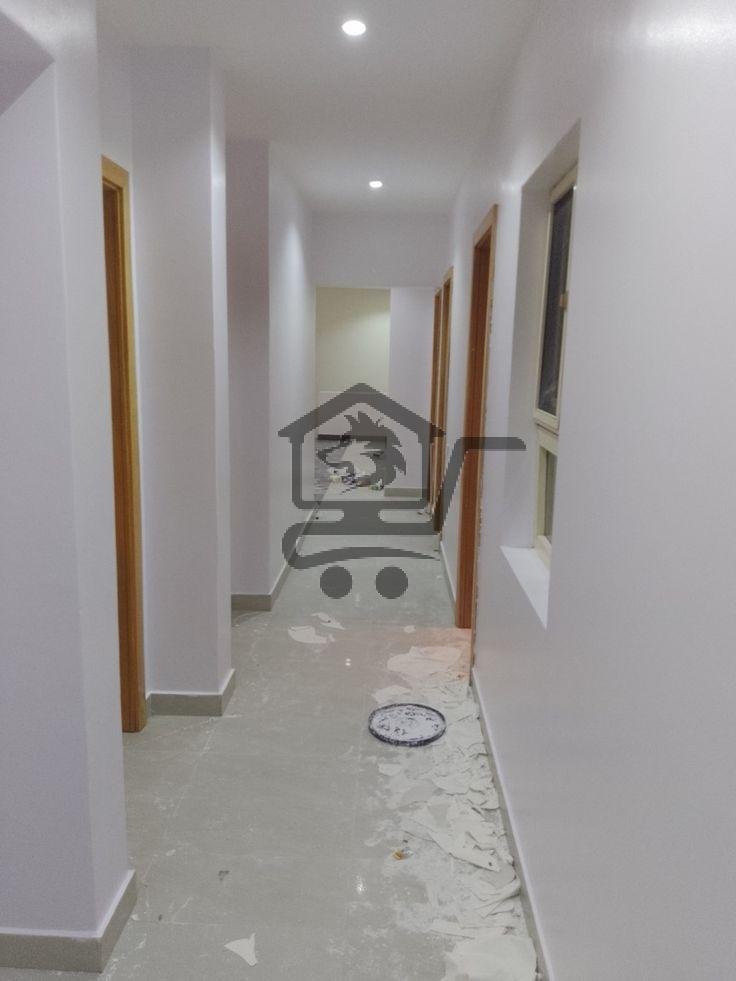 معلم دهان و عزل - الصورة 2