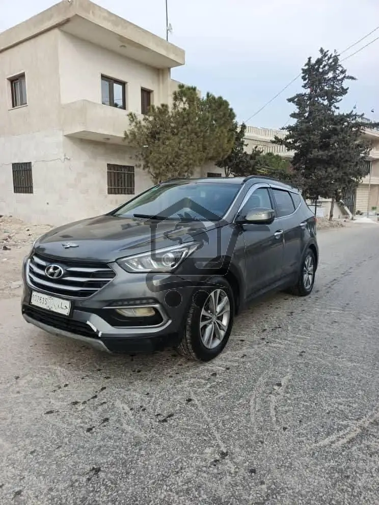 دي ام 2016 - الصورة 7