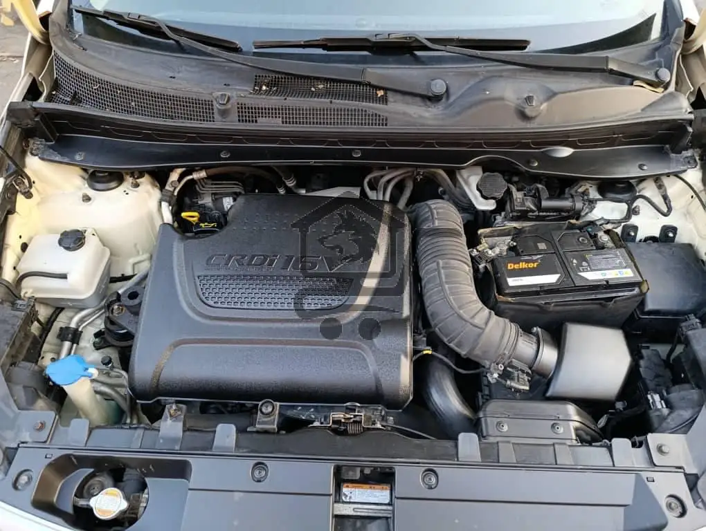 سبورتاج ار  ٢٠١٢ - الصورة 9