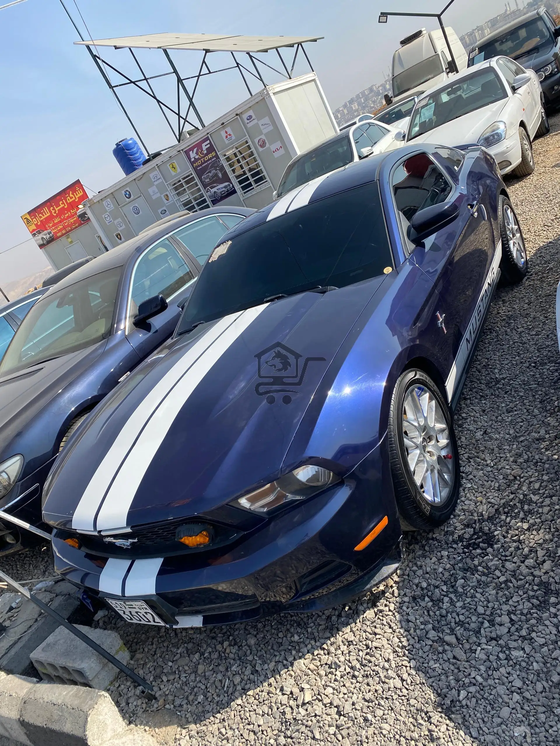 Ford mustang - الصورة 2