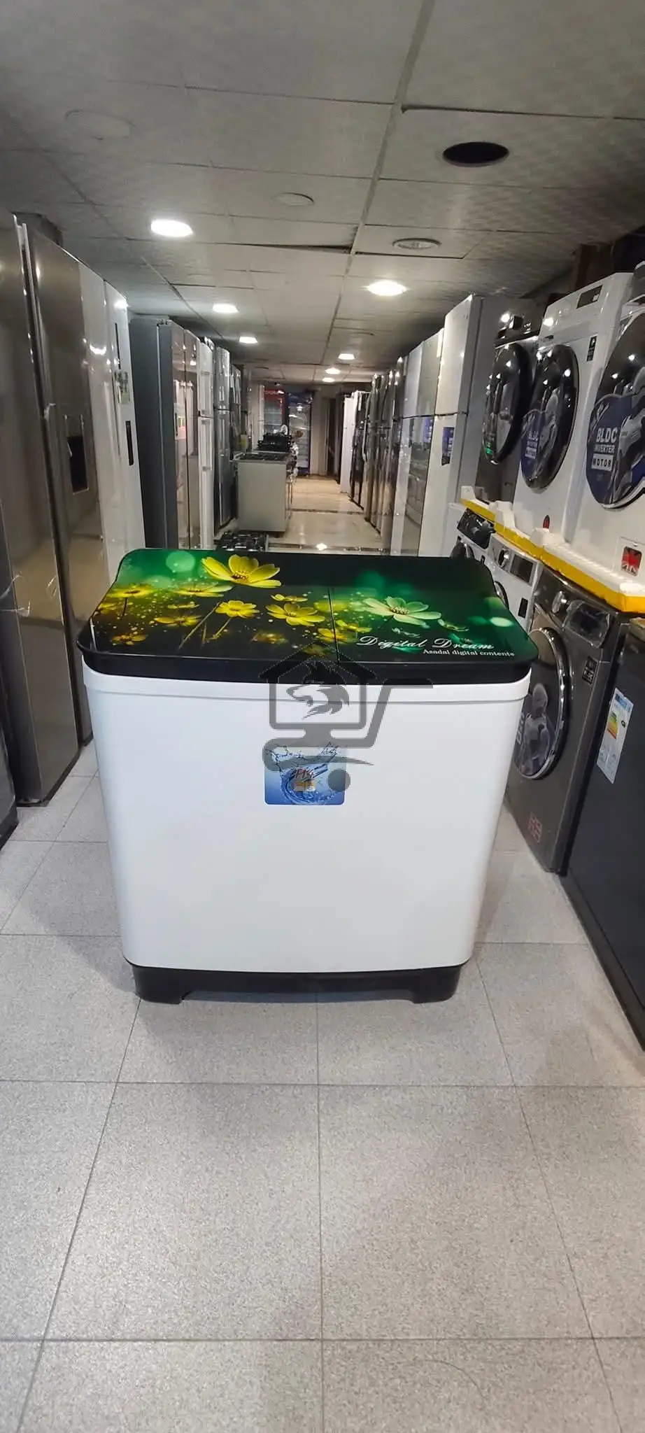 غسالة حوضين هيتاشي موديل F14 - الصورة 1