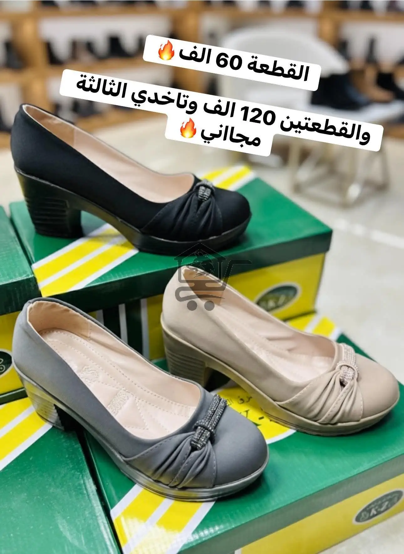 كندرة العرض من الخضر - الصورة 3