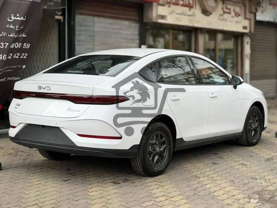 BYD Qin Plus 2025 - الصورة 2